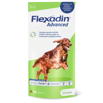 Flexadin advanced purutabl 60 kpl
