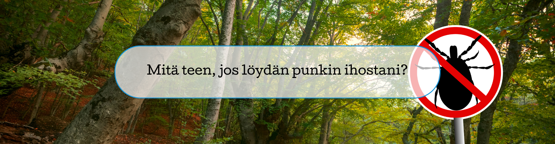 Apua punkki! Mitä teen jos löydän punkin ihostani?